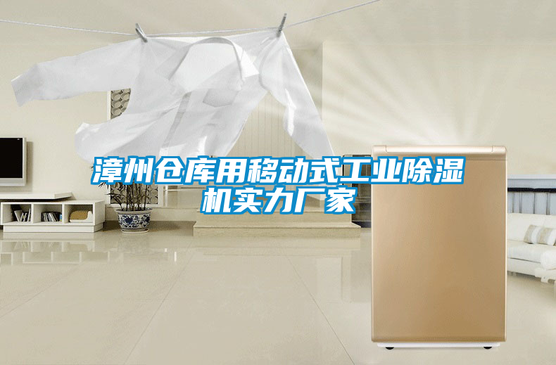 漳州仓库用移动式工业麻豆视频黄网站实力厂家