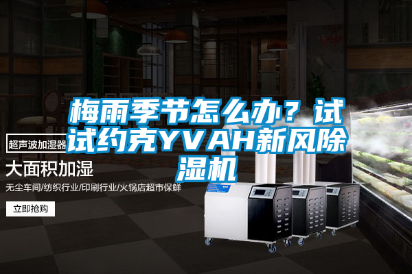 梅雨季节怎么办？试试约克YVAH新风麻豆视频黄网站