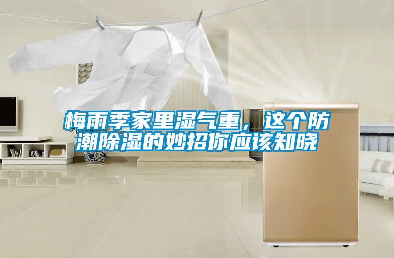 梅雨季家里湿气重，这个防潮除湿的妙招你应该知晓