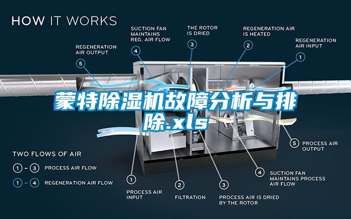 蒙特麻豆视频黄网站故障分析与排除.xls