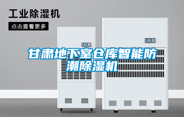 甘肃地下室仓库智能防潮麻豆视频黄网站