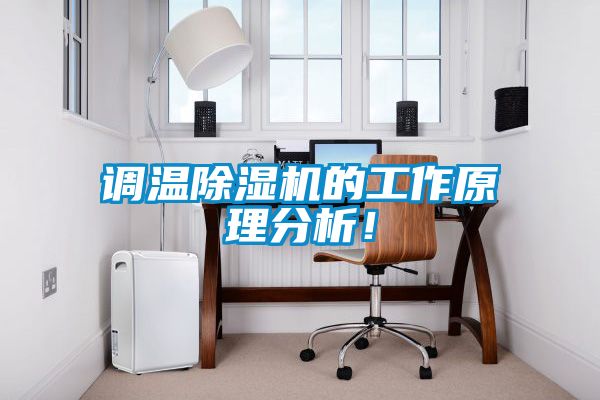 调温麻豆视频黄网站的工作原理分析！