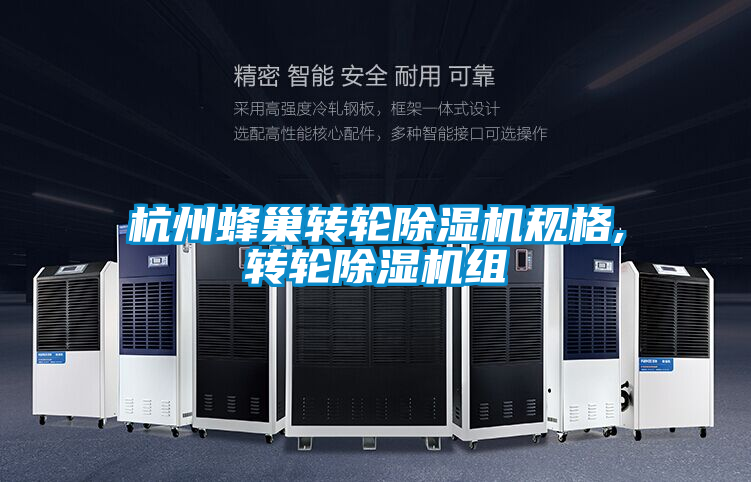 杭州蜂巢转轮麻豆视频黄网站规格,转轮麻豆视频黄网站组