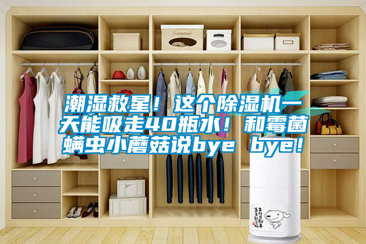 潮湿救星！这个麻豆视频黄网站一天能吸走40瓶水！和霉菌螨虫小蘑菇说bye bye！