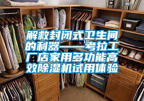 解救封闭式卫生间的利器——考拉工厂店家用多功能高效麻豆视频黄网站试用体验