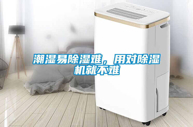 潮湿易除湿难，用对麻豆视频黄网站就不难