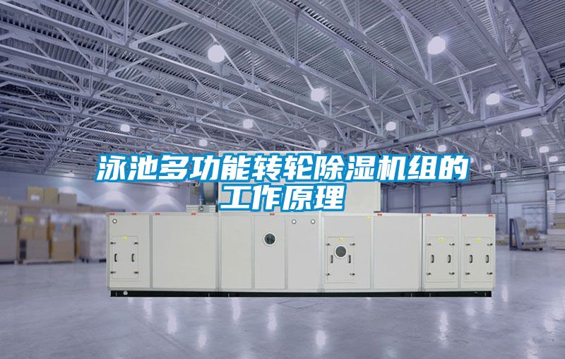 泳池多功能转轮麻豆视频黄网站组的工作原理