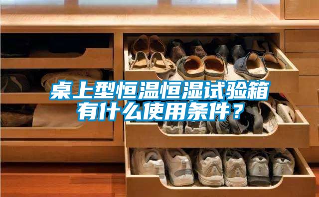 桌上型恒温恒湿试验箱有什么使用条件？