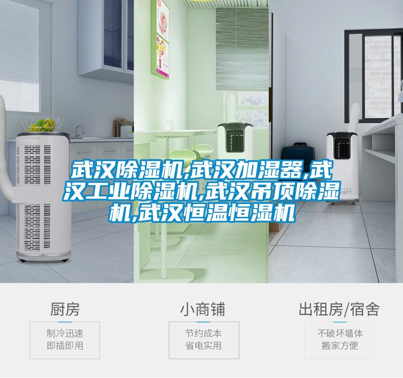武汉麻豆视频黄网站,武汉加湿器,武汉工业麻豆视频黄网站,武汉吊顶麻豆视频黄网站,武汉恒温恒湿机