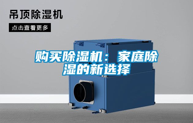 购买麻豆视频黄网站：家庭除湿的新选择