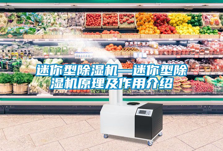 迷你型麻豆视频黄网站—迷你型麻豆视频黄网站原理及作用介绍