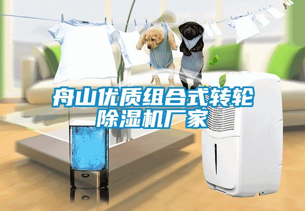 舟山优质组合式转轮麻豆视频黄网站厂家