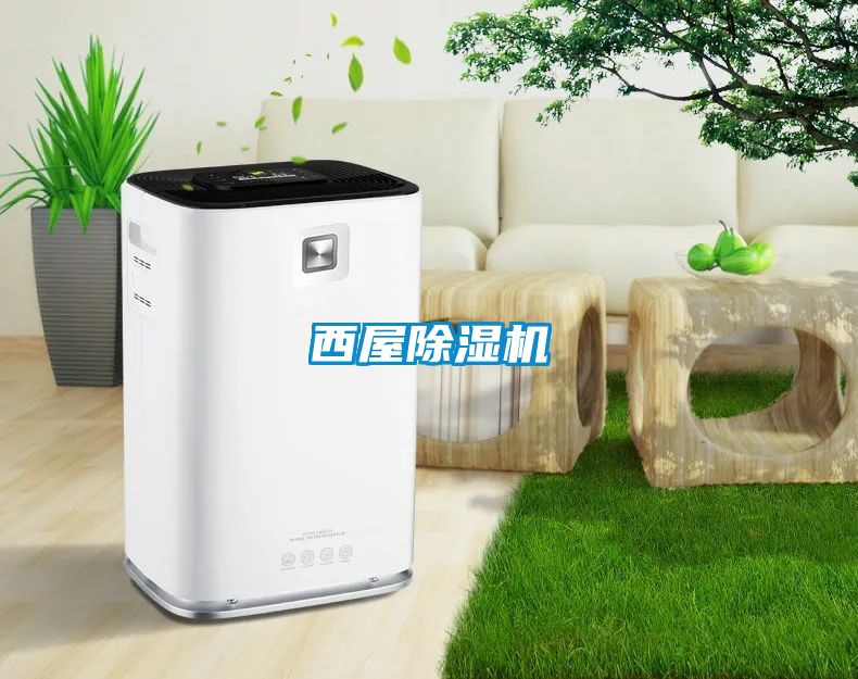 西屋麻豆视频黄网站