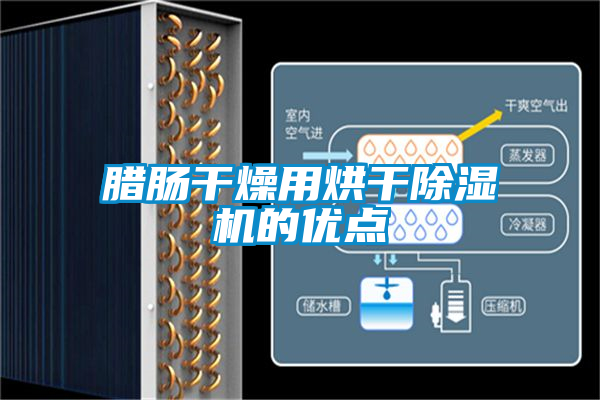 腊肠干燥用烘干麻豆视频黄网站的优点