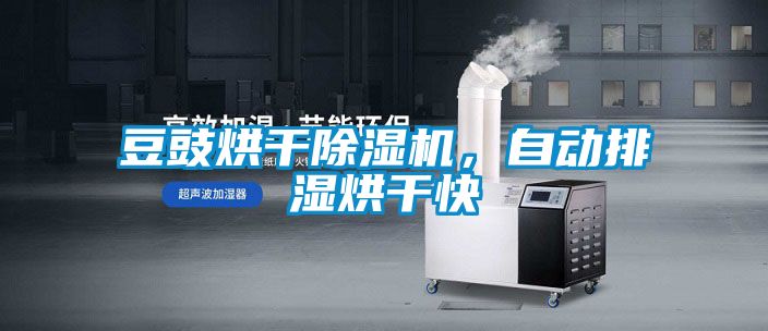 豆豉烘干麻豆视频黄网站，自动排湿烘干快