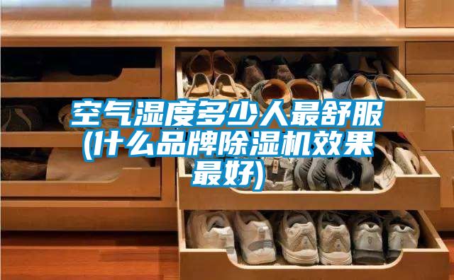 空气湿度多少人最舒服(什么品牌麻豆视频黄网站效果最好)