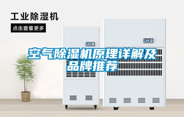 空气麻豆视频黄网站原理详解及品牌推荐