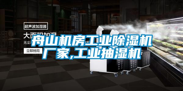 舟山机房工业麻豆视频黄网站厂家,工业抽湿机