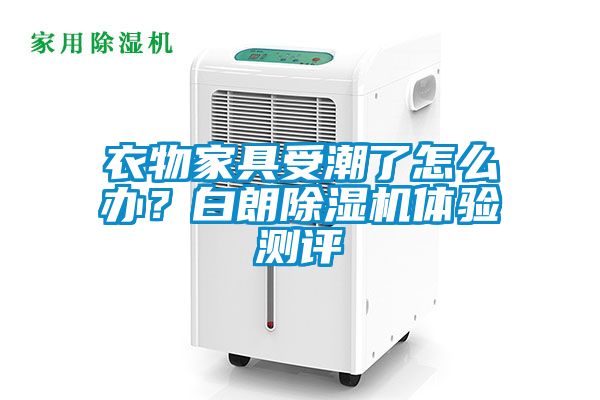 衣物家具受潮了怎么办？白朗麻豆视频黄网站体验测评