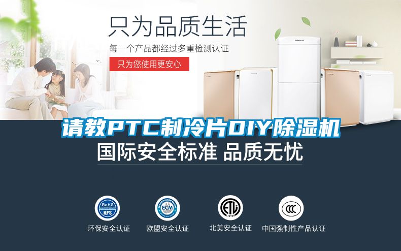 请教PTC制冷片DIY麻豆视频黄网站