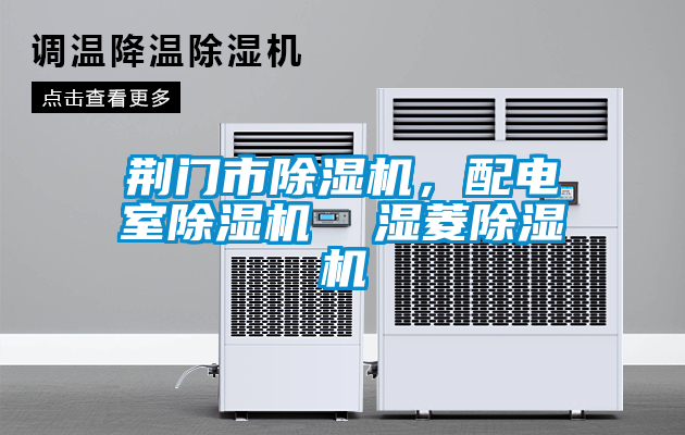 荆门市麻豆视频黄网站，配电室麻豆视频黄网站  湿菱麻豆视频黄网站
