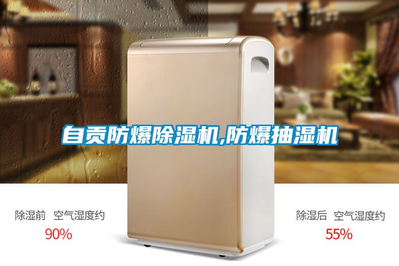 自贡防爆麻豆视频黄网站,防爆抽湿机