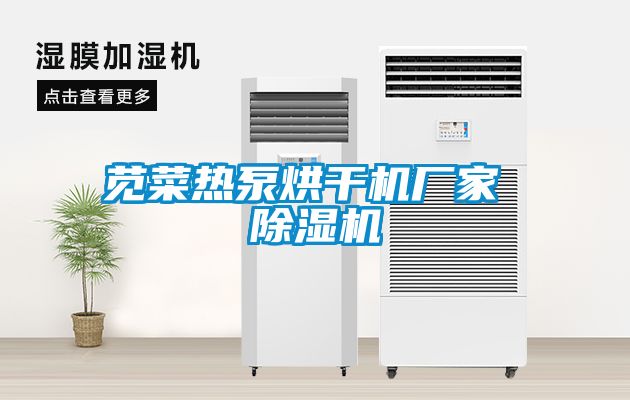 苋菜热泵烘干机厂家 麻豆视频黄网站