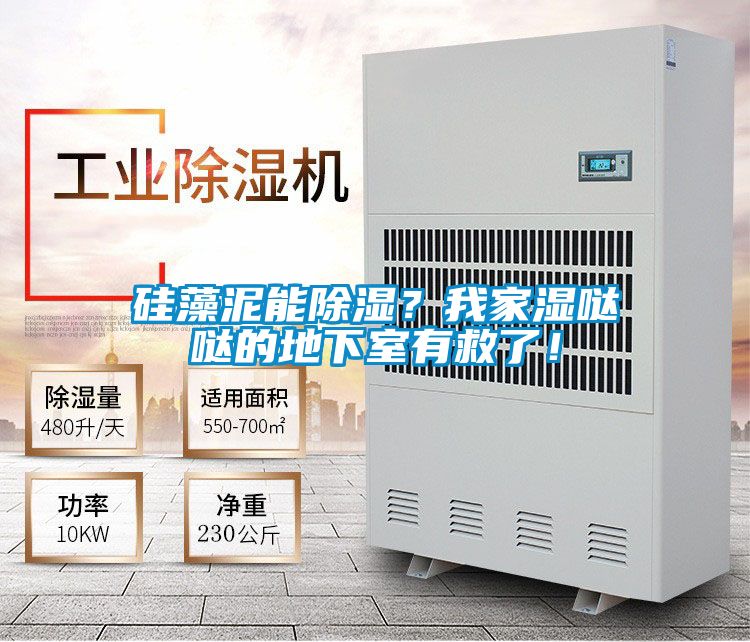 硅藻泥能除湿？我家湿哒哒的地下室有救了！