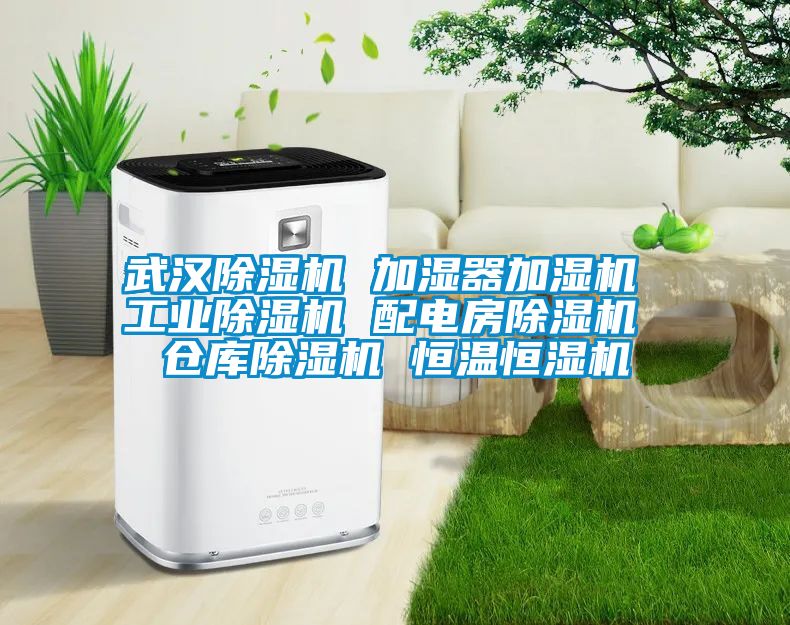 武汉麻豆视频黄网站 加湿器加湿机 工业麻豆视频黄网站 配电房麻豆视频黄网站 仓库麻豆视频黄网站 恒温恒湿机