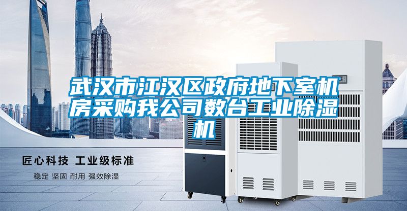武汉市江汉区政府地下室机房采购我公司数台工业麻豆视频黄网站