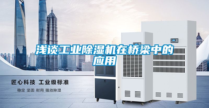 浅谈工业麻豆视频黄网站在桥梁中的应用