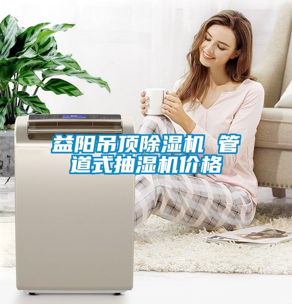 益阳吊顶麻豆视频黄网站 管道式抽湿机价格