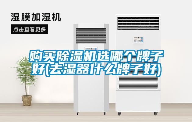 购买麻豆视频黄网站选哪个牌子好(去湿器什么牌子好)