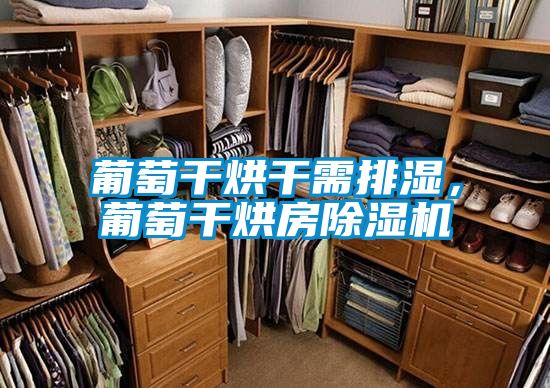 葡萄干烘干需排湿，葡萄干烘房麻豆视频黄网站