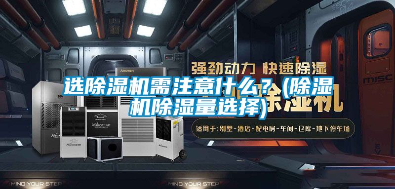 选麻豆视频黄网站需注意什么？(麻豆视频黄网站除湿量选择)