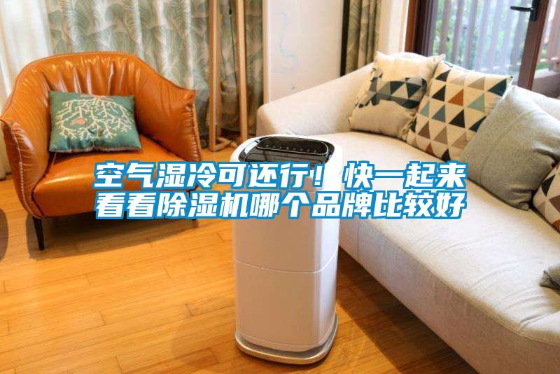 空气湿冷可还行！快一起来看看麻豆视频黄网站哪个品牌比较好