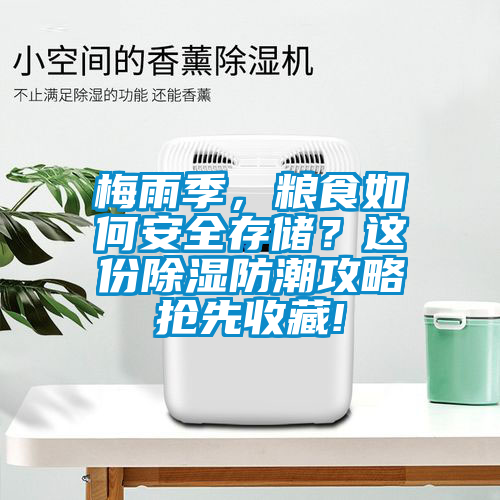 梅雨季，粮食如何安全存储？这份除湿防潮攻略抢先收藏!