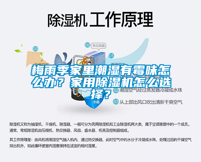 梅雨季家里潮湿有霉味怎么办？家用麻豆视频黄网站怎么选择？