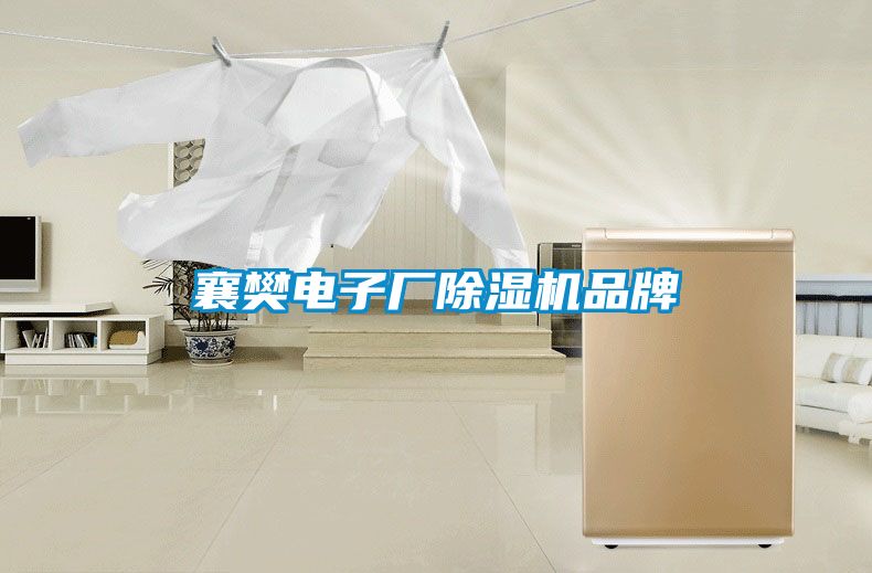 襄樊电子厂麻豆视频黄网站品牌