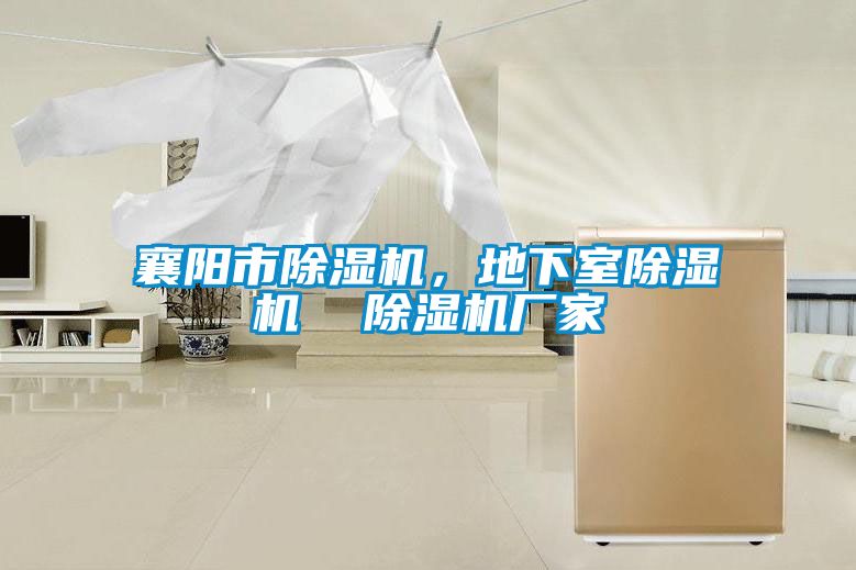 襄阳市麻豆视频黄网站，地下室麻豆视频黄网站  麻豆视频黄网站厂家
