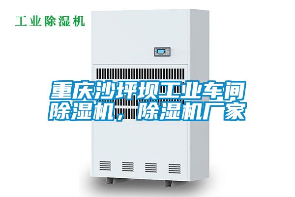 重庆沙坪坝工业车间麻豆视频黄网站，麻豆视频黄网站厂家