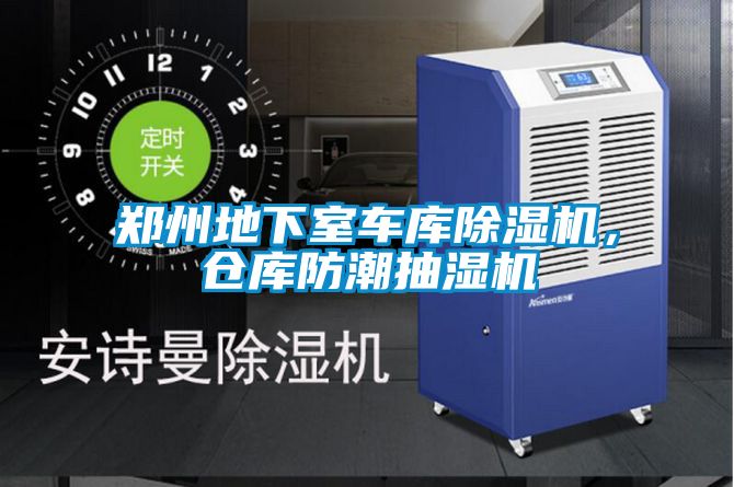 郑州地下室车库麻豆视频黄网站，仓库防潮抽湿机