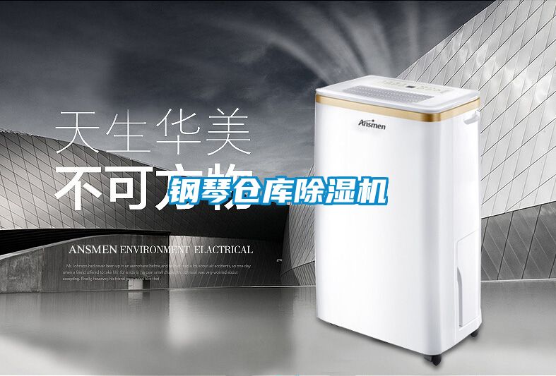 钢琴仓库麻豆视频黄网站