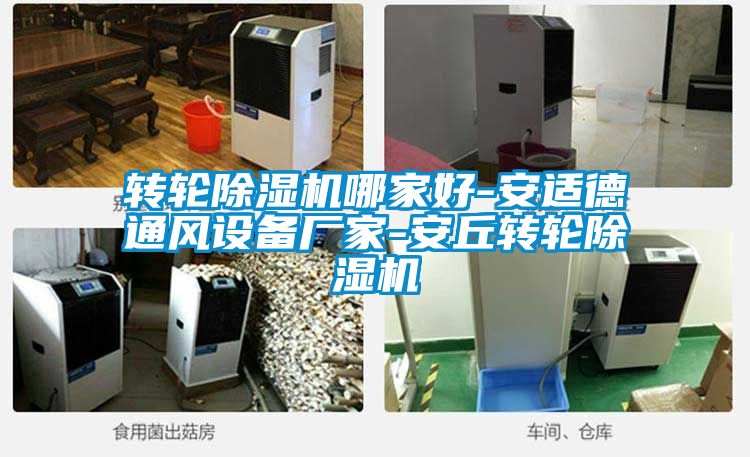 转轮麻豆视频黄网站哪家好-安适德通风设备厂家-安丘转轮麻豆视频黄网站