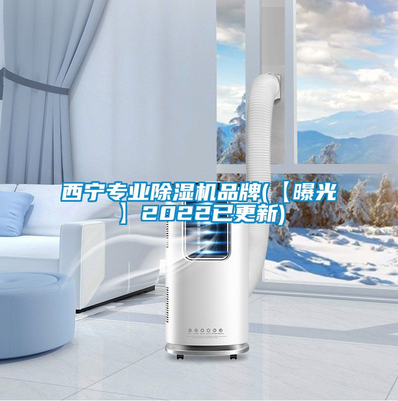 西宁专业麻豆视频黄网站品牌(【曝光】2022已更新)