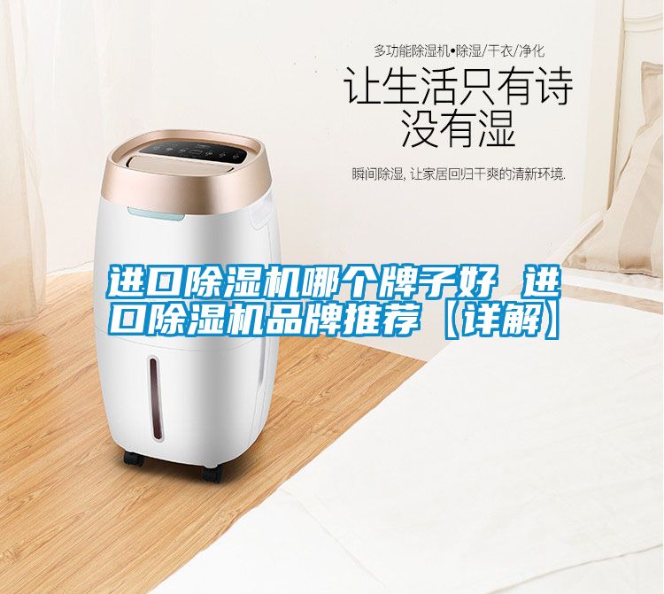 进口麻豆视频黄网站哪个牌子好 进口麻豆视频黄网站品牌推荐【详解】