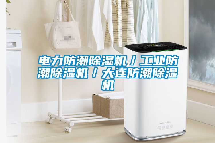 电力防潮麻豆视频黄网站／工业防潮麻豆视频黄网站／大连防潮麻豆视频黄网站