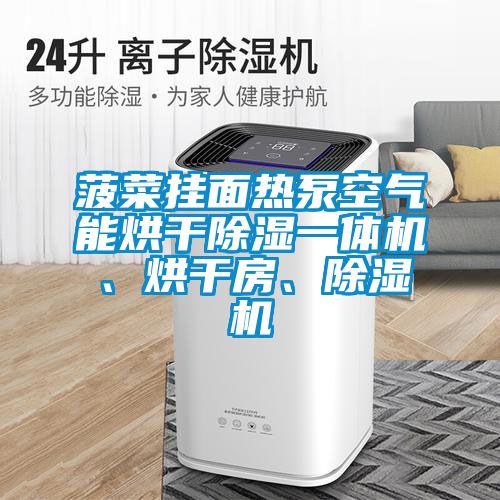 菠菜挂面热泵空气能烘干除湿一体机、烘干房、麻豆视频黄网站