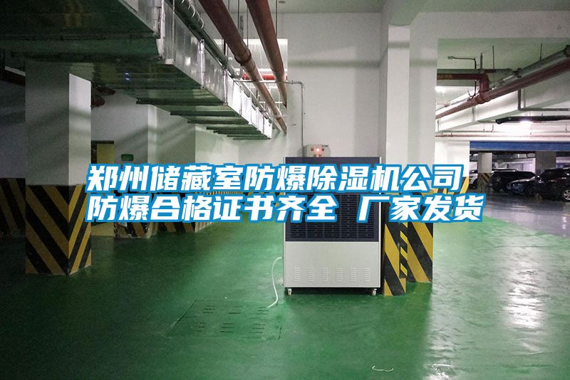 郑州储藏室防爆麻豆视频黄网站公司 防爆合格证书齐全 厂家发货