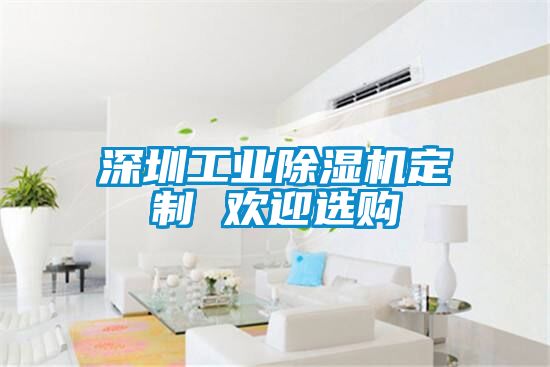 深圳工业麻豆视频黄网站定制 欢迎选购